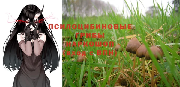 стаф Березники
