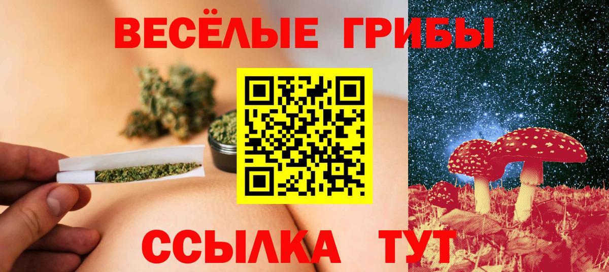 Псилоцибиновые грибы GOLDEN TEACHER Сургут