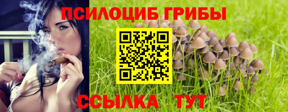 Галлюциногенные грибы ЛСД  Галлюциногенные грибы Psilocybine cubensis  Сургут  Вход с VPN 
