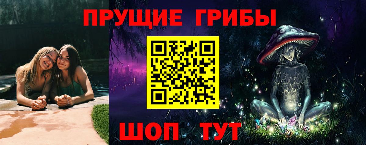 Псилоцибиновые грибы GOLDEN TEACHER  Сургут  Псилоцибиновые грибы MAGIC MUSHROOMS 