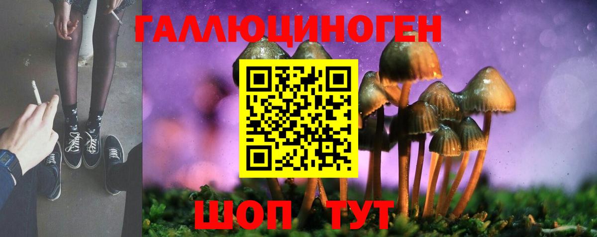 Псилоцибиновые грибы Cubensis Сургут